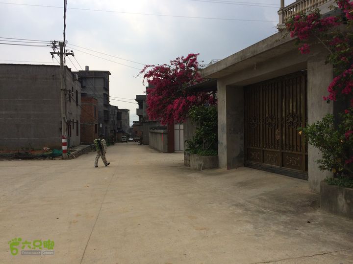 汤斜古道-大北岭-状元岭-贡院岭-泉头古道-杨廷水库圈越IMG_1629