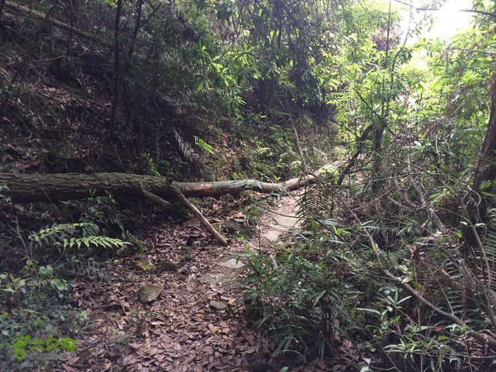 汤斜古道-大北岭-状元岭-贡院岭-泉头古道-杨廷水库圈越IMG_1609