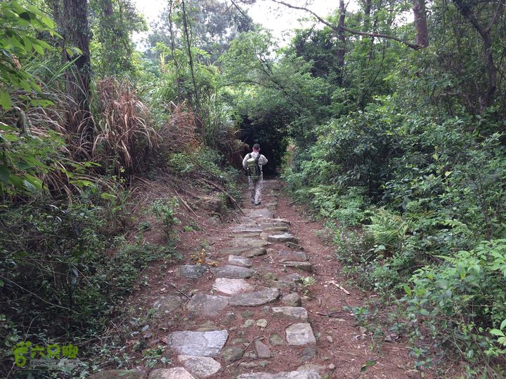 汤斜古道-大北岭-状元岭-贡院岭-泉头古道-杨廷水库圈越IMG_1613