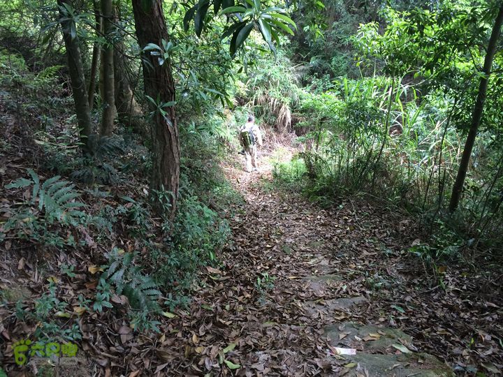 汤斜古道-大北岭-状元岭-贡院岭-泉头古道-杨廷水库圈越IMG_1610
