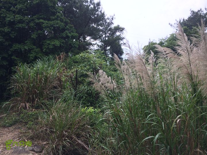 汤斜古道-大北岭-状元岭-贡院岭-泉头古道-杨廷水库圈越IMG_1615