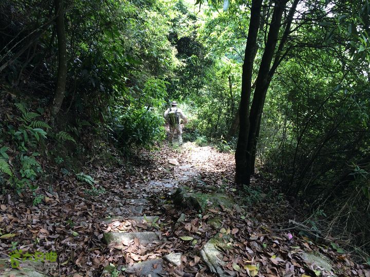 汤斜古道-大北岭-状元岭-贡院岭-泉头古道-杨廷水库圈越IMG_1607