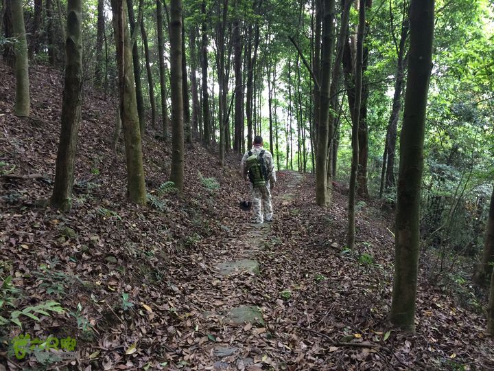 汤斜古道-大北岭-状元岭-贡院岭-泉头古道-杨廷水库圈越IMG_1611