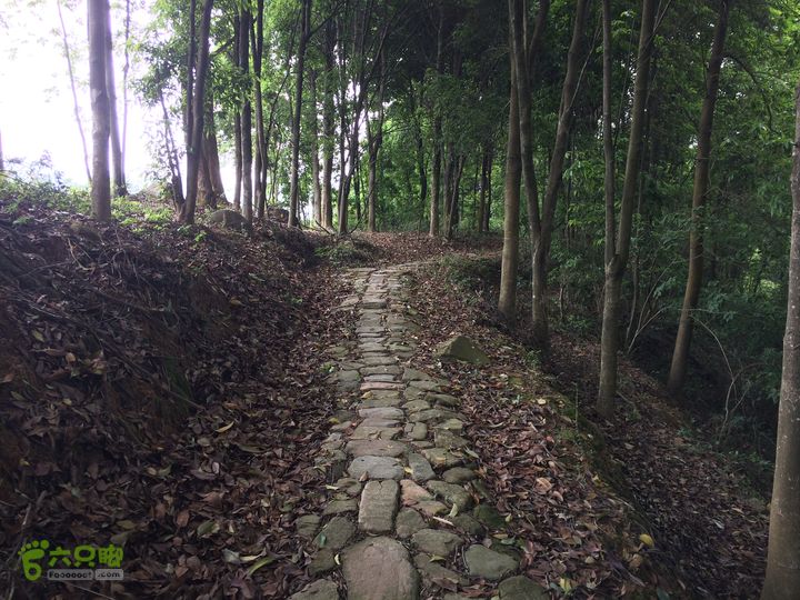 汤斜古道-大北岭-状元岭-贡院岭-泉头古道-杨廷水库圈越IMG_1617