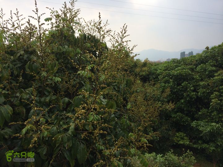 汤斜古道-大北岭-状元岭-贡院岭-泉头古道-杨廷水库圈越IMG_1623