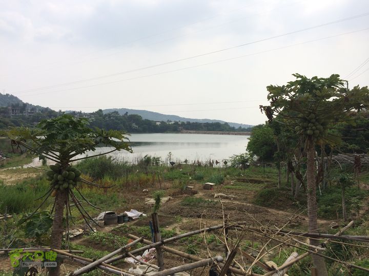 汤斜古道-大北岭-状元岭-贡院岭-泉头古道-杨廷水库圈越IMG_1628