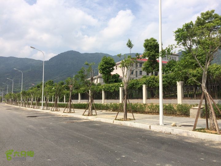 汤斜古道-大北岭-状元岭-贡院岭-泉头古道-杨廷水库圈越IMG_1632