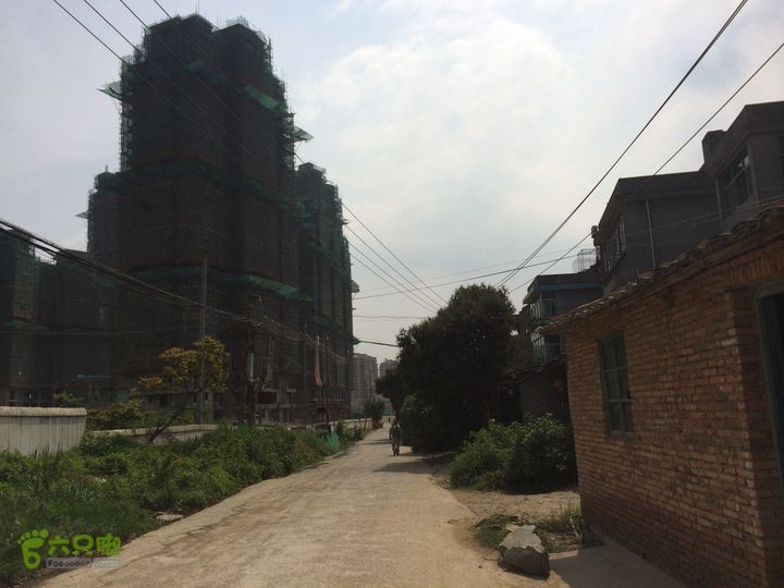 汤斜古道-大北岭-状元岭-贡院岭-泉头古道-杨廷水库圈越IMG_1636