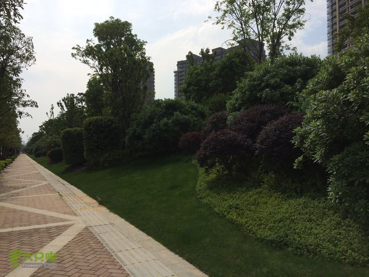 汤斜古道-大北岭-状元岭-贡院岭-泉头古道-杨廷水库圈越IMG_1639