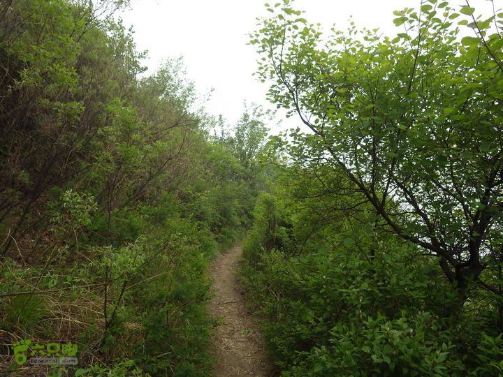 沙岭村-蚕姑坨-蚕姑庙-老君堂IMGP0256