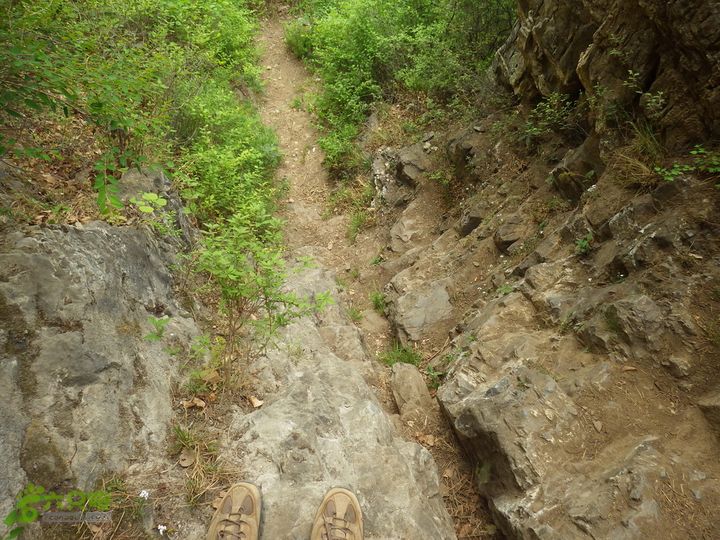 沙岭村-蚕姑坨-蚕姑庙-老君堂IMGP0259