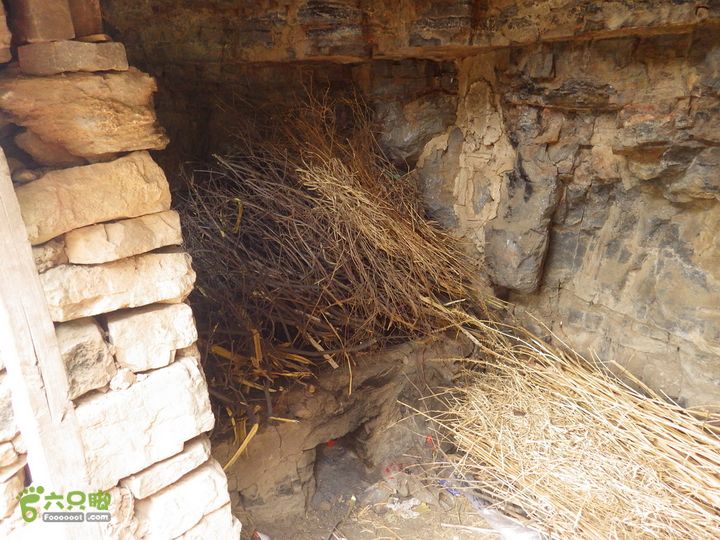 沙岭村-蚕姑坨-蚕姑庙-老君堂IMGP0274