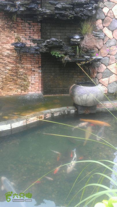 保税区～蛇地坑水库～石盘头水库～广生徒步2014-05-02 11:37:49