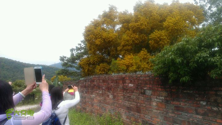 保税区～蛇地坑水库～石盘头水库～广生徒步2014-05-02 11:41:39