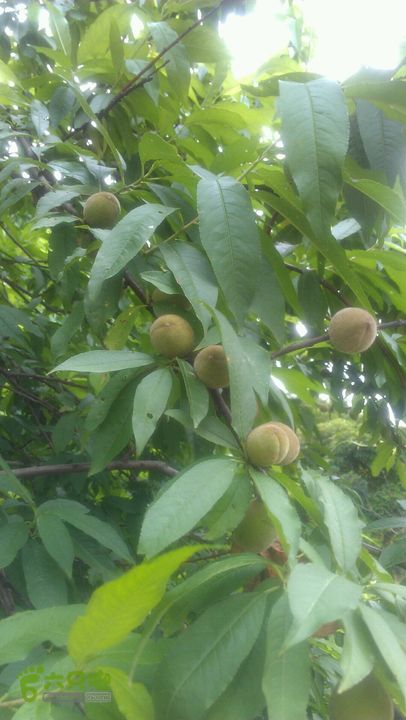 保税区～蛇地坑水库～石盘头水库～广生徒步2014-05-02 11:50:34