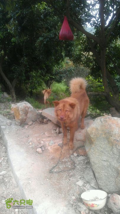 保税区～蛇地坑水库～石盘头水库～广生徒步2014-05-02 11:57:14