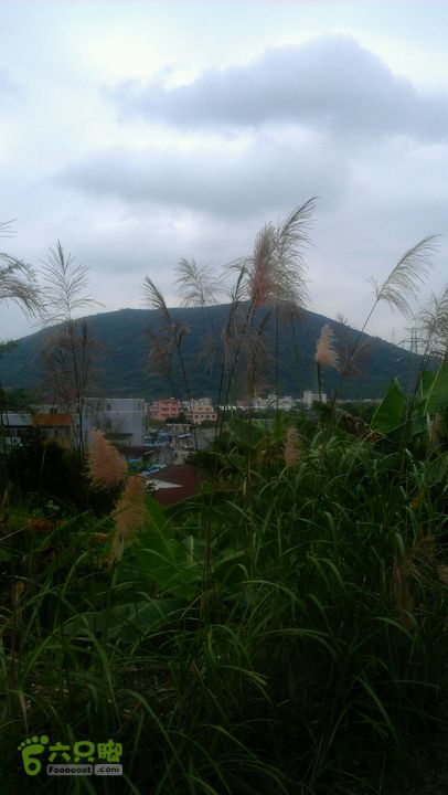 保税区～蛇地坑水库～石盘头水库～广生徒步2014-05-02 13:03:11