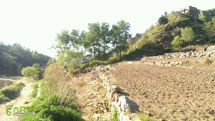 涞源长城：唐子沟-天桥村-杨兰峪-国道至浮图峪下到沟底便是一条机耕道，右近三三