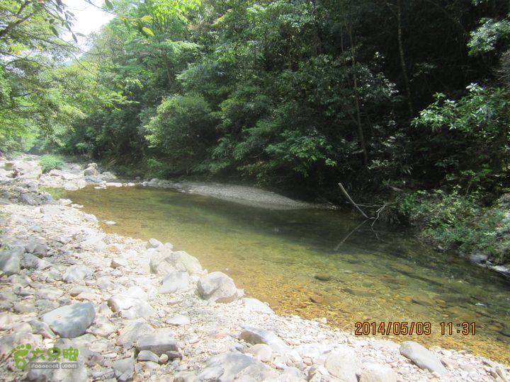 楠溪江源头大环线（上井-楠溪江源头-余坑）IMG_0770