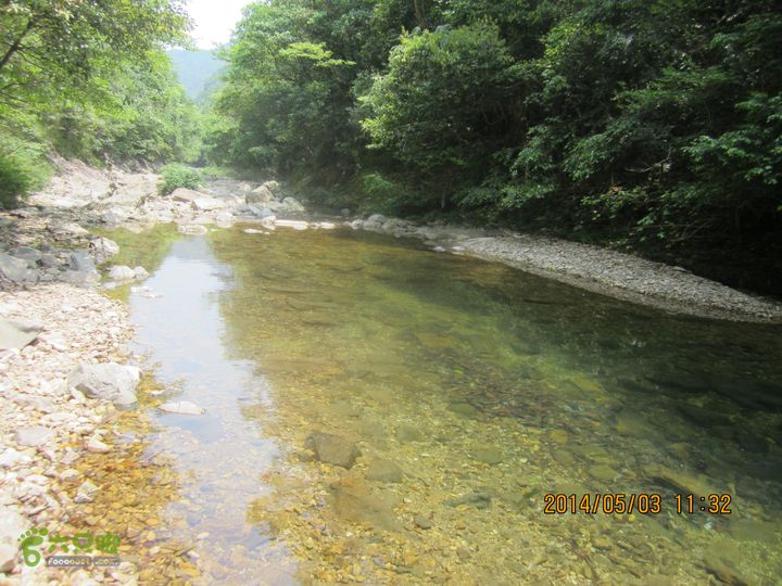 楠溪江源头大环线（上井-楠溪江源头-余坑）IMG_0771