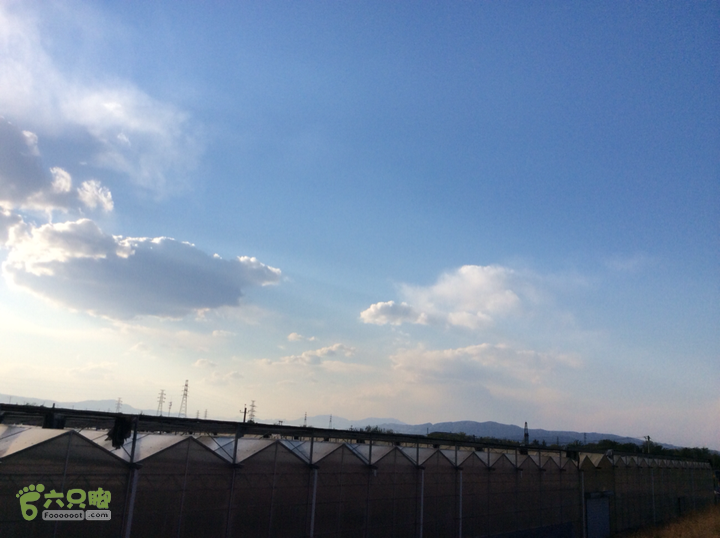 ［郊野公园行］之八 晓月郊野公园2014-05-04 17:31:24