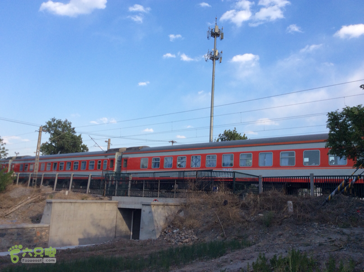 ［郊野公园行］之八 晓月郊野公园2014-05-04 17:29:28