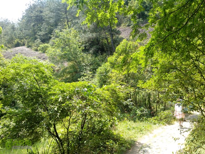 方岩线路全程13公里进入景区