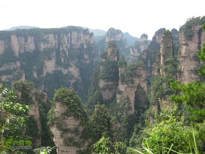 2013-7-4张家界森林公园3IMG_1414