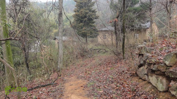 穿越牛冲DSC05261