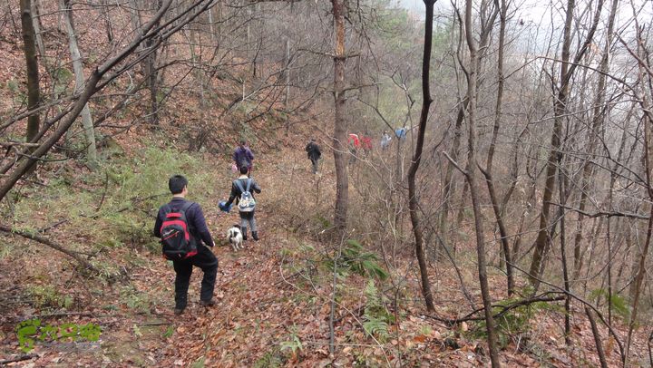 穿越牛冲DSC05288