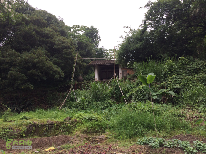 赤鲤村口观音亭--头梳山--火焰石山--金瓜石--观音桥圈越2014-05-10 16:41:17