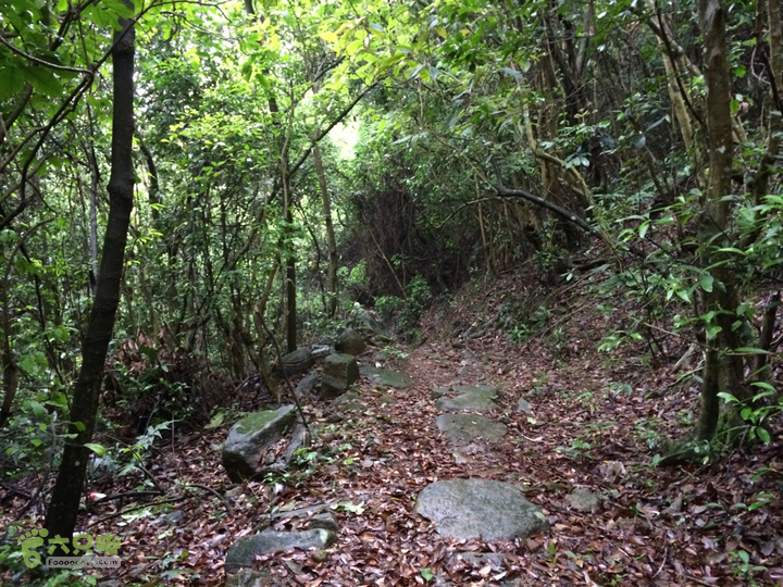 赤鲤村口观音亭--头梳山--火焰石山--金瓜石--观音桥圈越2014-05-10 15:51:17