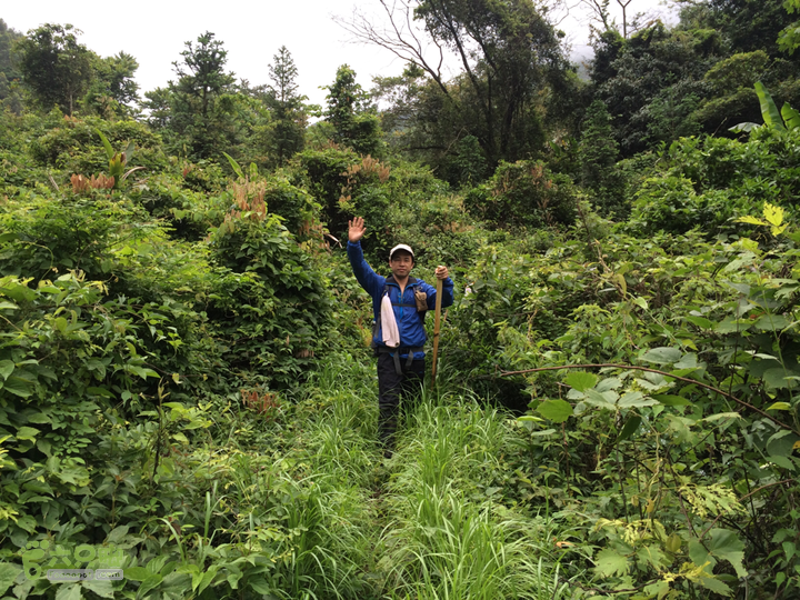 赤鲤村口观音亭--头梳山--火焰石山--金瓜石--观音桥圈越2014-05-10 15:39:23