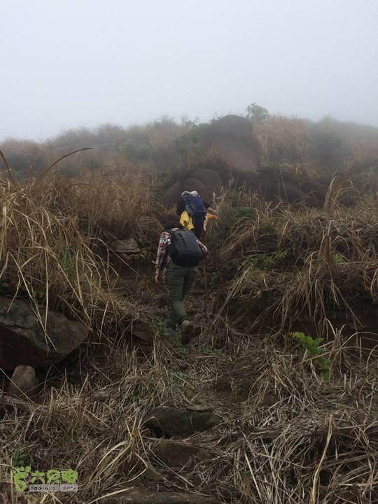 赤鲤村口观音亭--头梳山--火焰石山--金瓜石--观音桥圈越2014-05-10 11:47:42