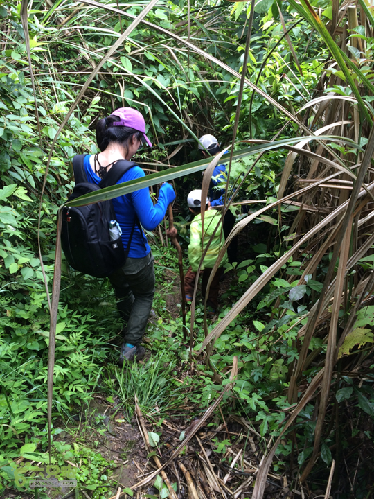 赤鲤村口观音亭--头梳山--火焰石山--金瓜石--观音桥圈越2014-05-10 15:19:39