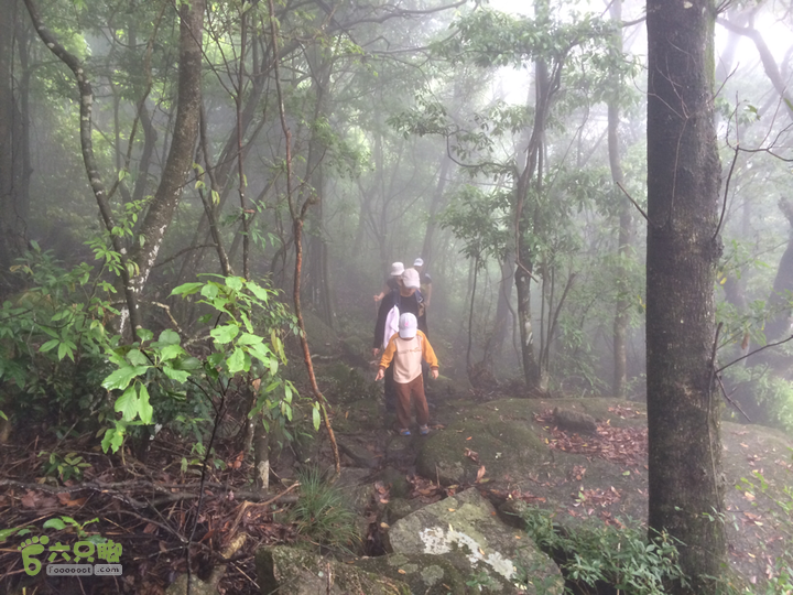 赤鲤村口观音亭--头梳山--火焰石山--金瓜石--观音桥圈越2014-05-10 11:33:58