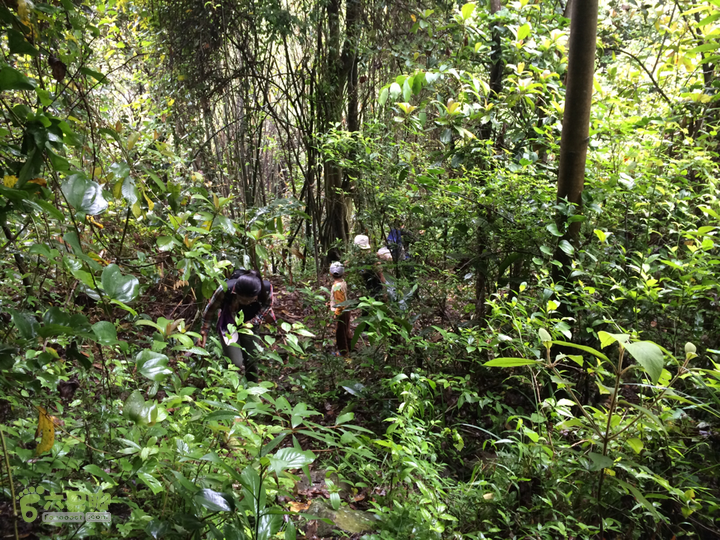 赤鲤村口观音亭--头梳山--火焰石山--金瓜石--观音桥圈越2014-05-10 10:17:50