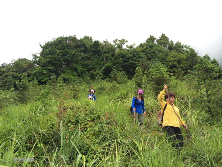 赤鲤村口观音亭--头梳山--火焰石山--金瓜石--观音桥圈越2014-05-10 14:50:20