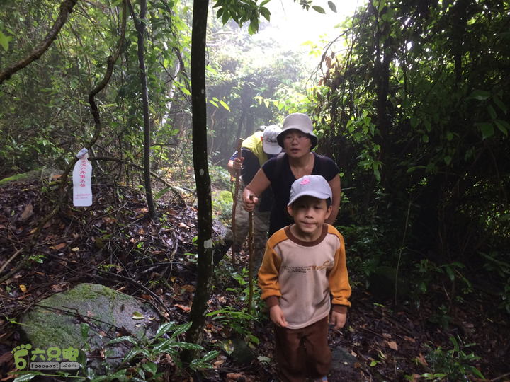 赤鲤村口观音亭--头梳山--火焰石山--金瓜石--观音桥圈越2014-05-10 11:22:36
