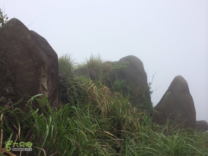 赤鲤村口观音亭--头梳山--火焰石山--金瓜石--观音桥圈越2014-05-10 11:56:15