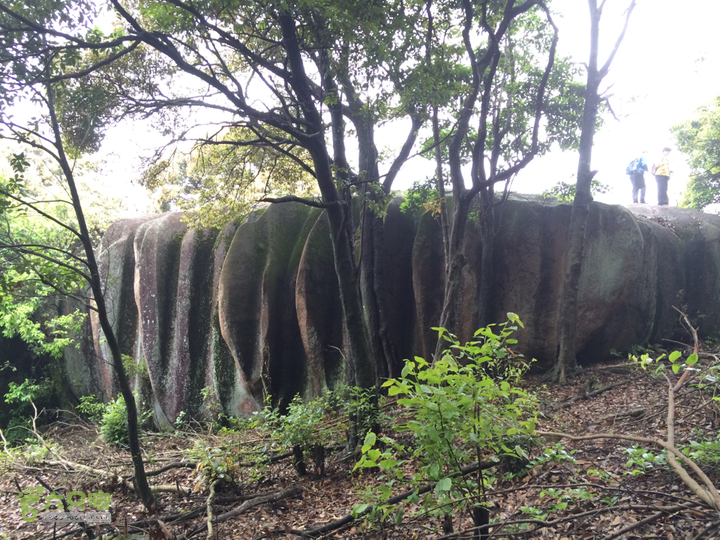 赤鲤村口观音亭--头梳山--火焰石山--金瓜石--观音桥圈越2014-05-10 14:18:38