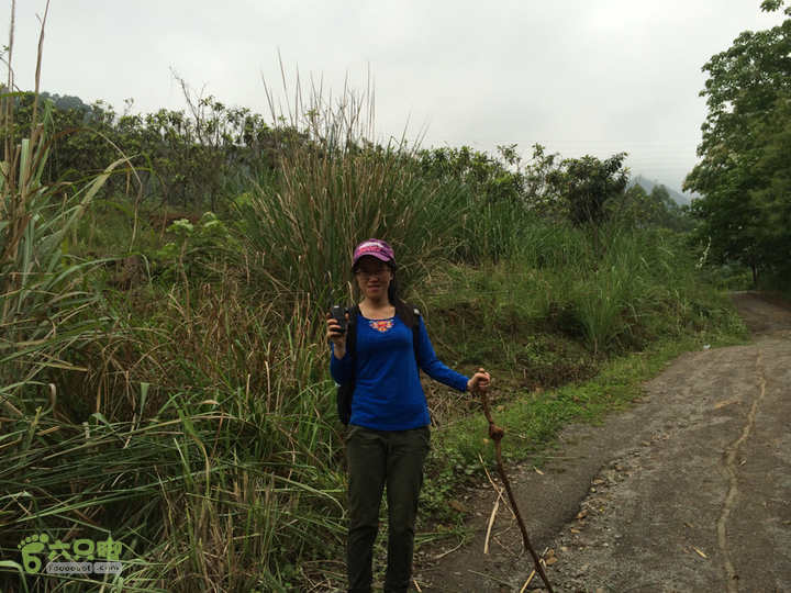 赤鲤村口观音亭--头梳山--火焰石山--金瓜石--观音桥圈越2014-05-10 16:45:12