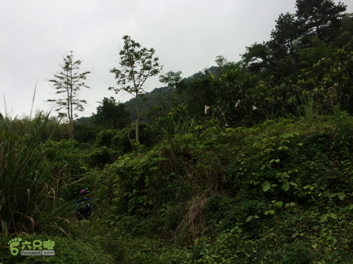 赤鲤村口观音亭--头梳山--火焰石山--金瓜石--观音桥圈越2014-05-10 16:36:36