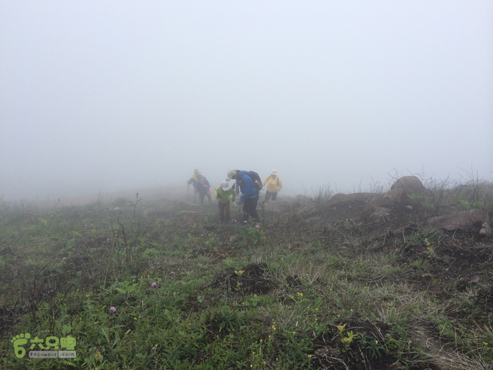 赤鲤村口观音亭--头梳山--火焰石山--金瓜石--观音桥圈越2014-05-10 13:39:04