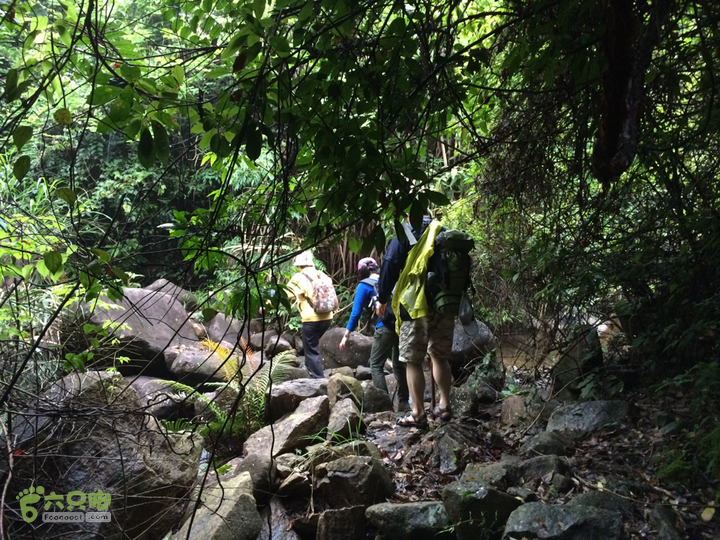 赤鲤村口观音亭--头梳山--火焰石山--金瓜石--观音桥圈越2014-05-10 16:18:10