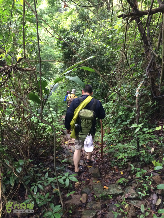 赤鲤村口观音亭--头梳山--火焰石山--金瓜石--观音桥圈越2014-05-10 16:01:34