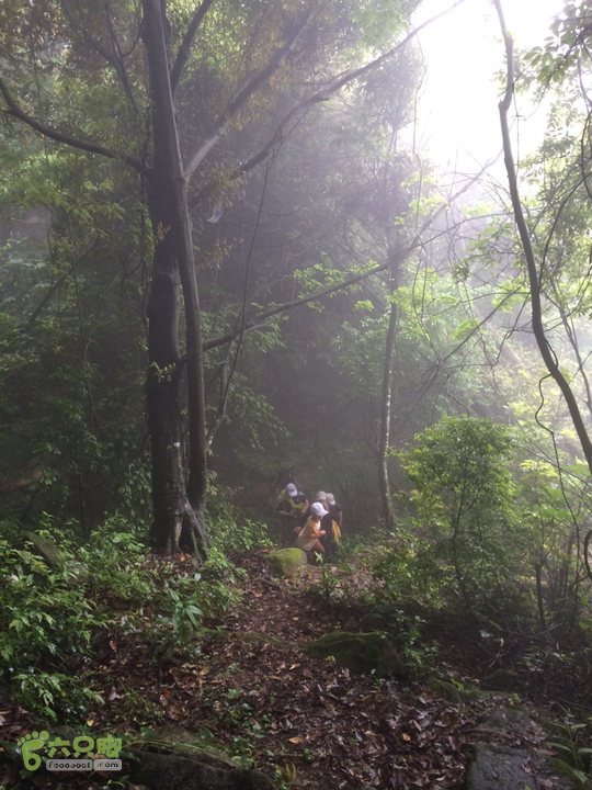 赤鲤村口观音亭--头梳山--火焰石山--金瓜石--观音桥圈越2014-05-10 11:33:37