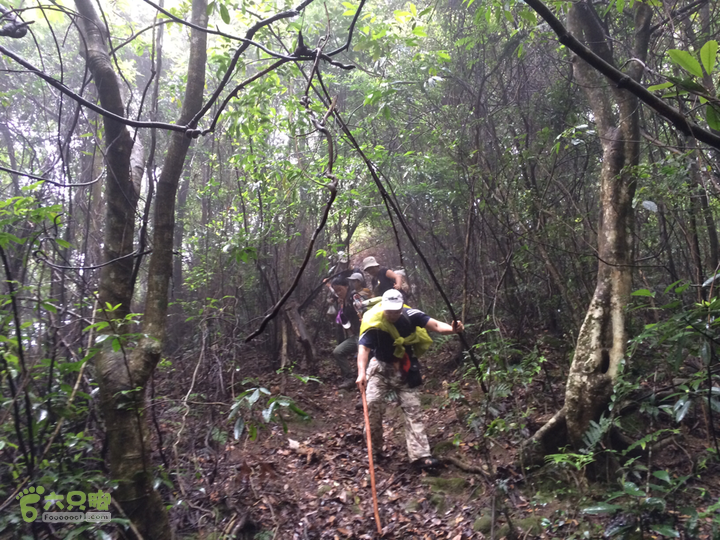 赤鲤村口观音亭--头梳山--火焰石山--金瓜石--观音桥圈越2014-05-10 10:06:45