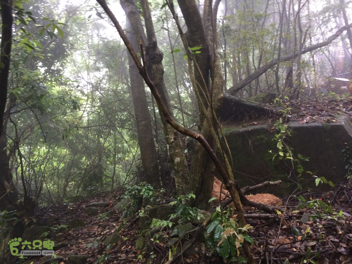 赤鲤村口观音亭--头梳山--火焰石山--金瓜石--观音桥圈越2014-05-10 11:17:31