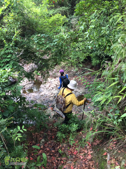 赤鲤村口观音亭--头梳山--火焰石山--金瓜石--观音桥圈越2014-05-10 16:32:44